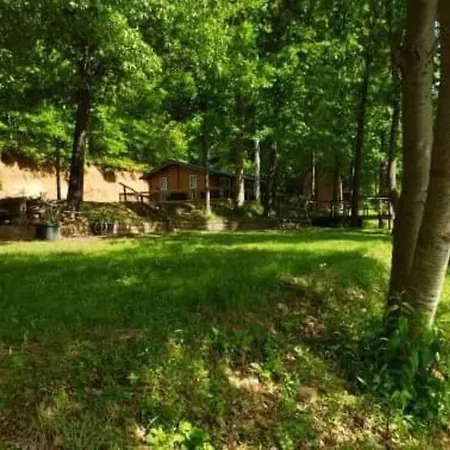Beaver Lake Arkansas Luxury Cabin Rogers Exterior photo